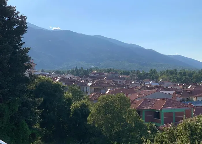 Rodon With Great View, Sauna And Jacuzzi Vila Litochoro